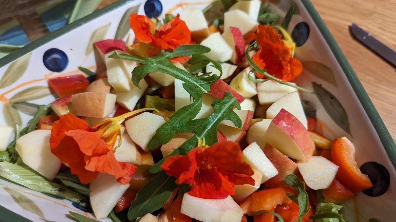 Bed And Breakfast La Pecora Rosa Sant'Omero エクステリア 写真